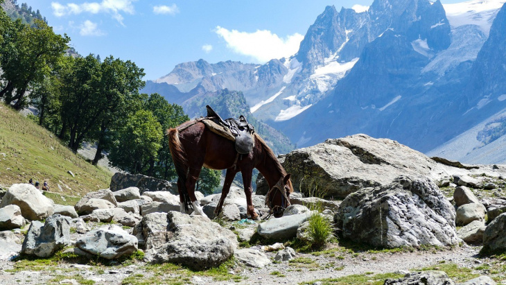 khám phá, trải nghiệm, thung lũng kashmir - mảnh đá quý diệu kỳ của mẹ thiên nhiên trên trái đất